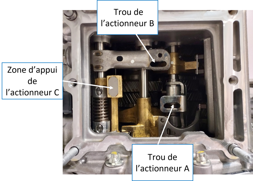 Zone d'appui et d'action des actionneurs